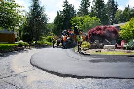 Best Driveway Snow Removal Preparation  in Pato, WA